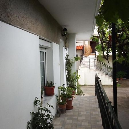 ליטוחורון Big Apartment Near Olympus Mountain מראה חיצוני תמונה